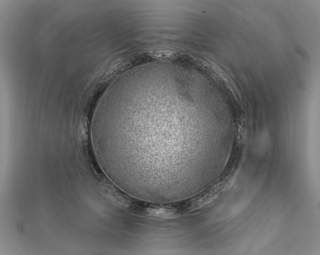 X0000112460561200908311332