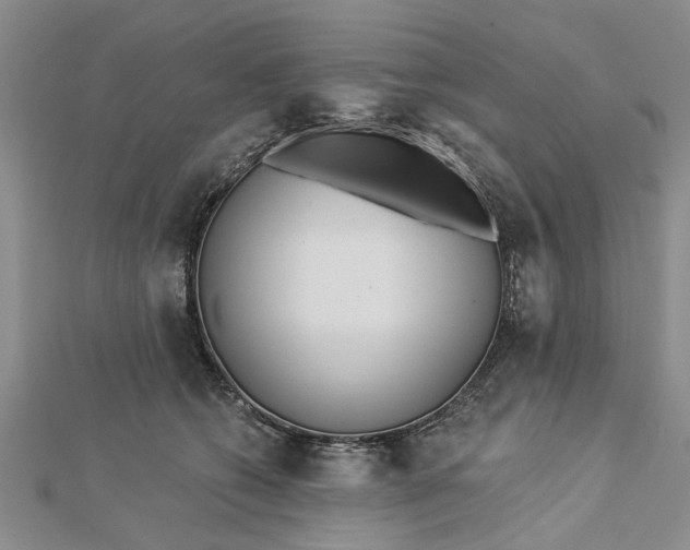 X0000112460562200908311332