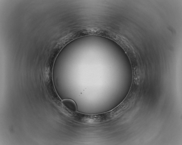 X0000112460563200908311332