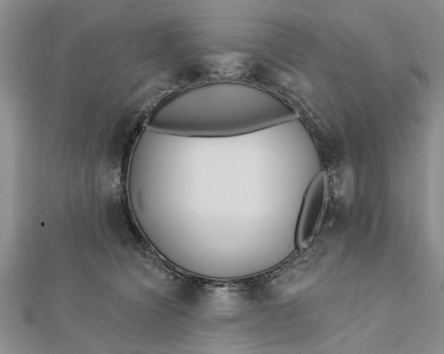 X0000112460564200908311332