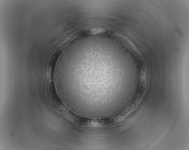 X0000112460565200908311332