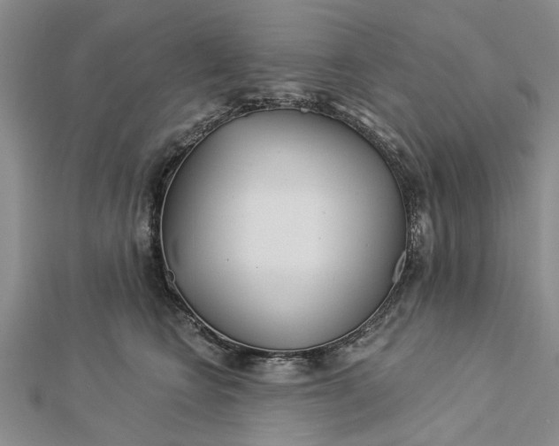 X0000112460566200908311332