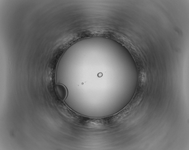 X0000112460567200908311332