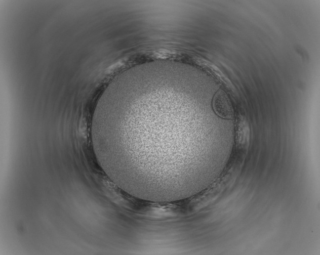 X0000112460569200908311332