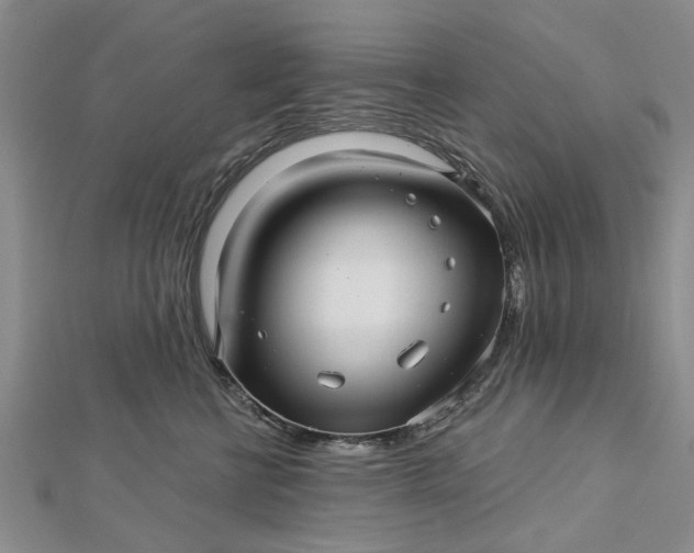 X0000112460570200908311332