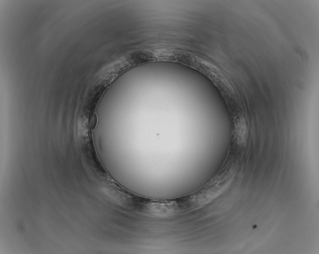 X0000112460571200908311332