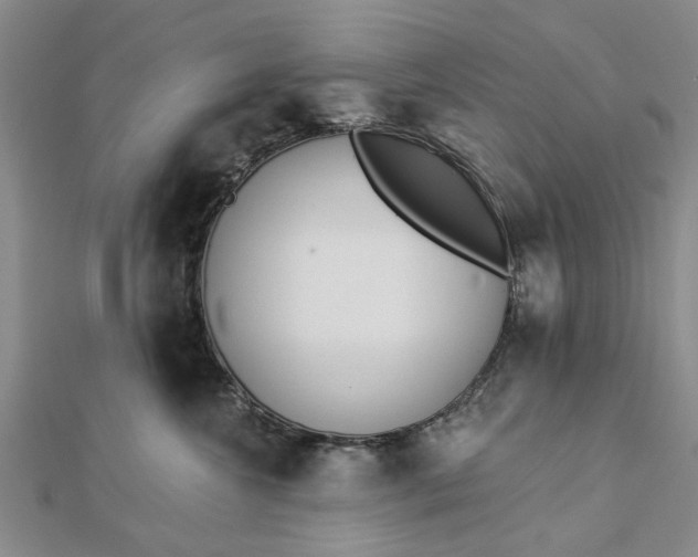 X0000112460572200908311332