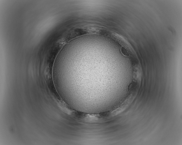 X0000112460573200908311332