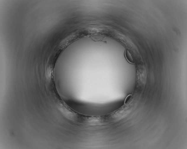 X0000112460574200908311332