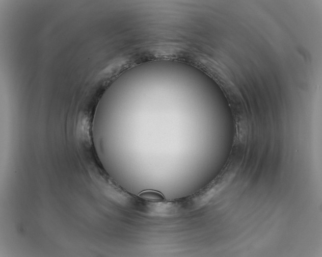 X0000112460575200908311332