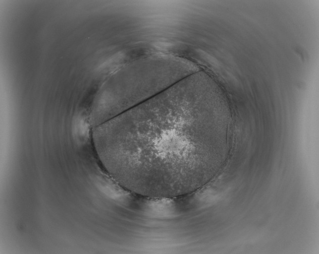 X0000112460576200908311332