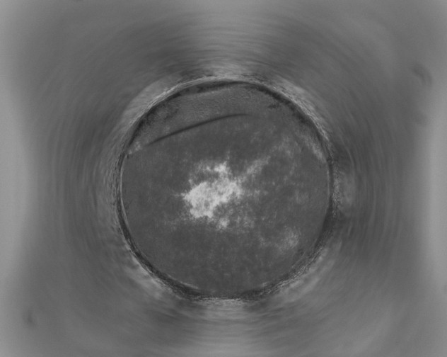 X0000112460577200908311331