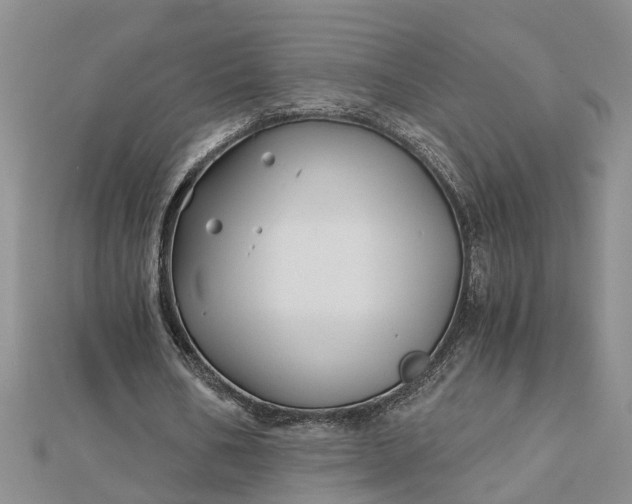 X0000112460578200908311331