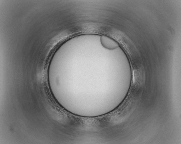 X0000112460579200908311331