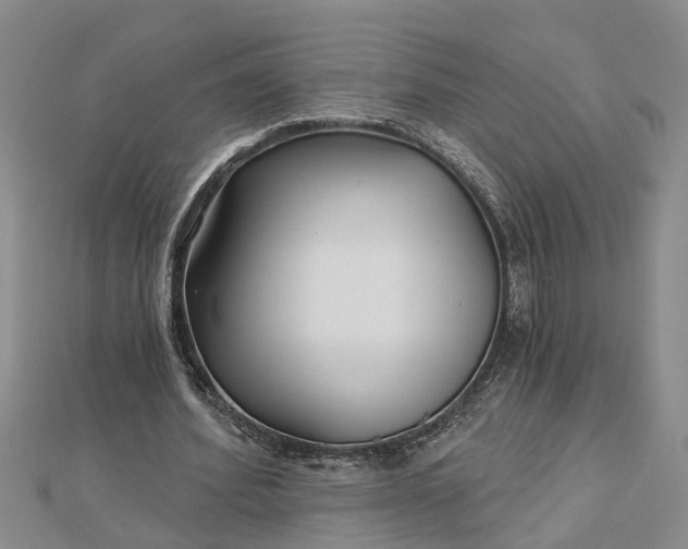 X0000112460580200908311331