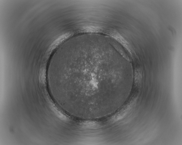 X0000112460581200908311331