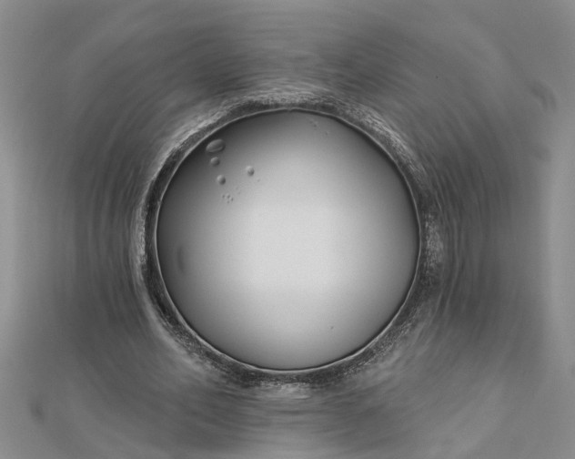 X0000112460582200908311331