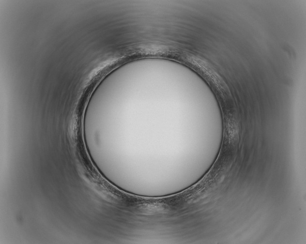 X0000112460583200908311331