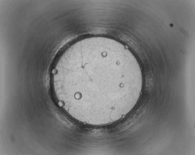 X0000112460584200908311331