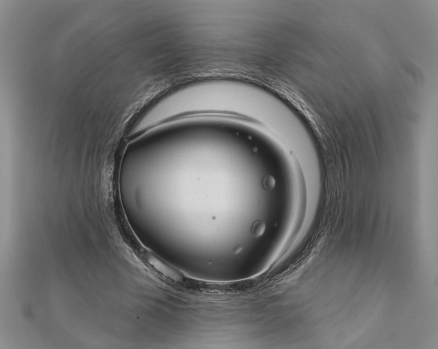 X0000112460585200908311331