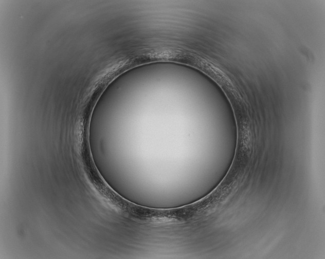 X0000112460586200908311331