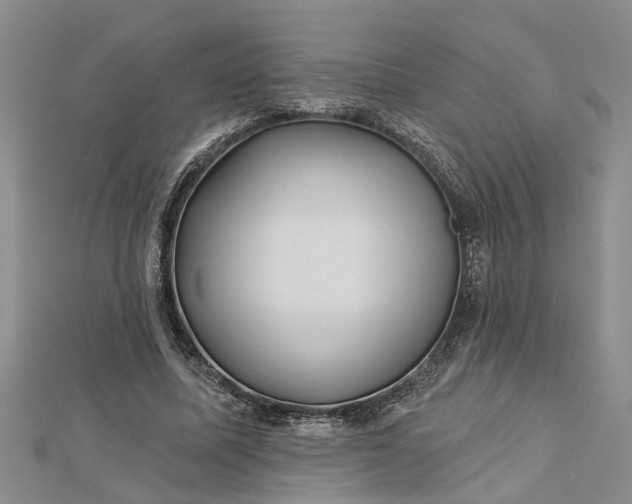 X0000112460587200908311331