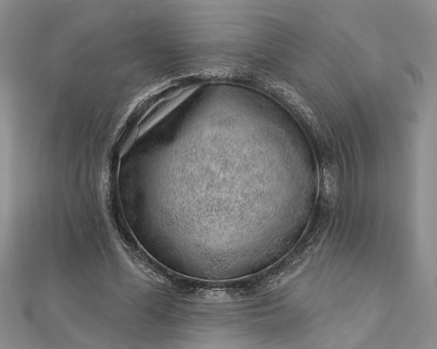 X0000112460588200908311331