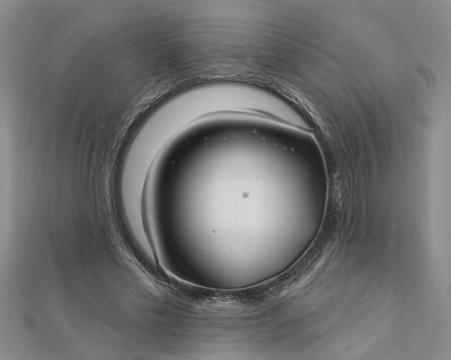 X0000112460589200908311331