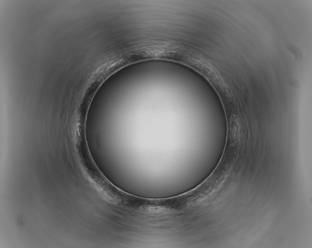 X0000112460590200908311331