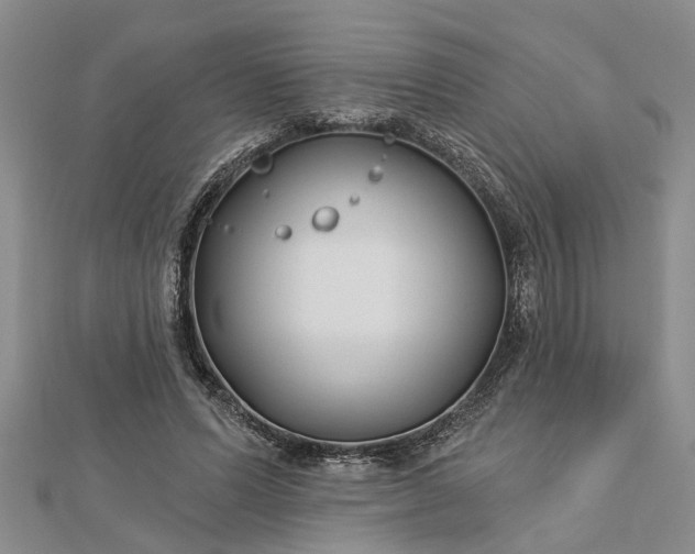 X0000112460591200908311331