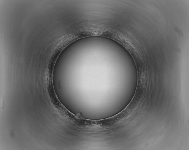 X0000112460594200908311331