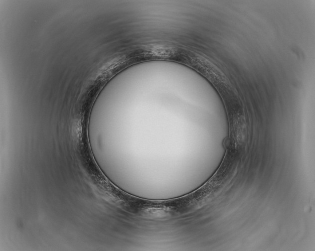 X0000112460595200908311331