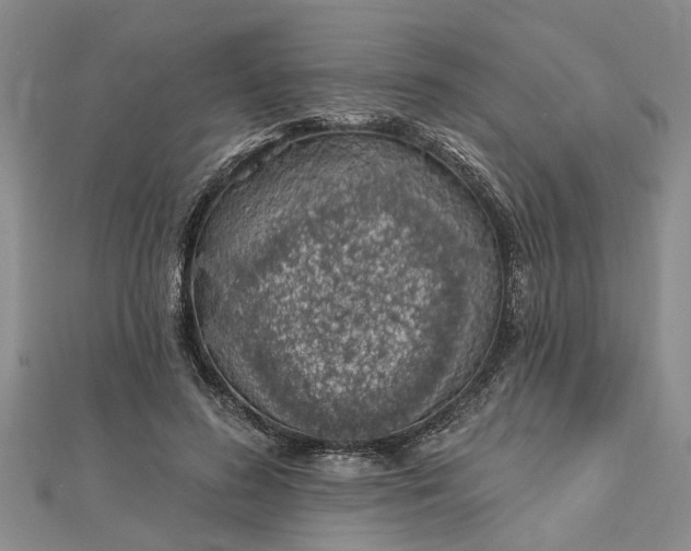 X0000112460596200908311331