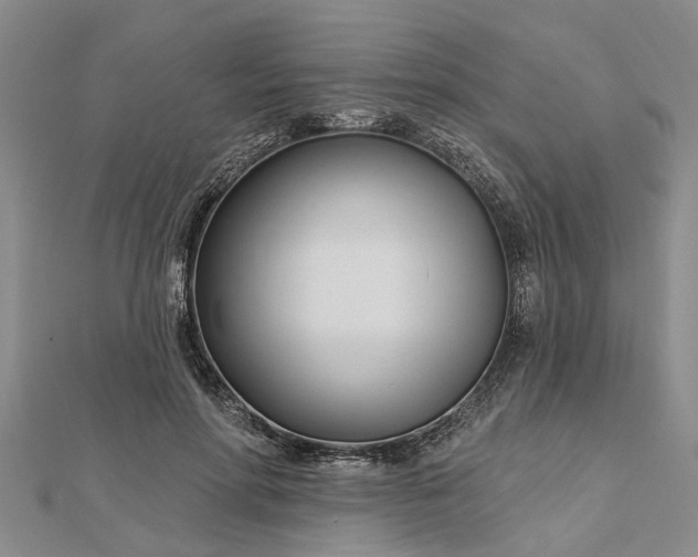 X0000112460598200908311331