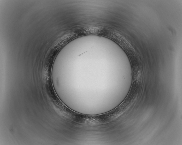 X0000112460599200908311331