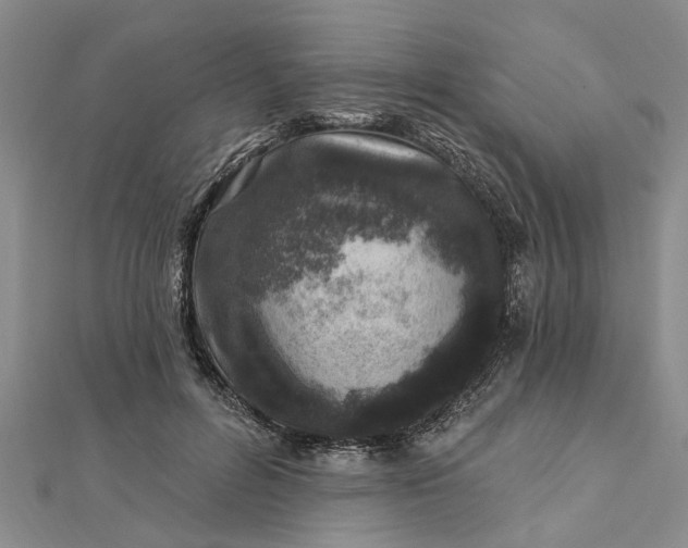 X0000112460600200908311331