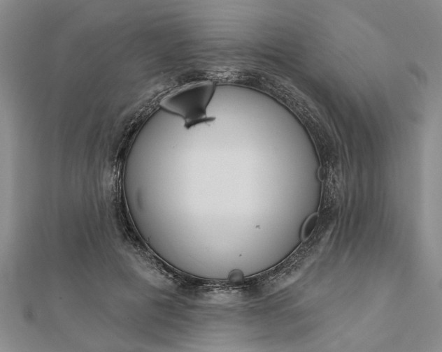 X0000112460601200908311331