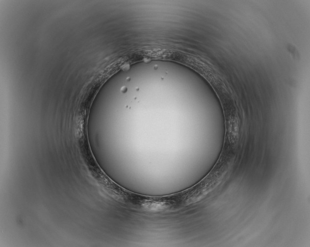 X0000112460602200908311331