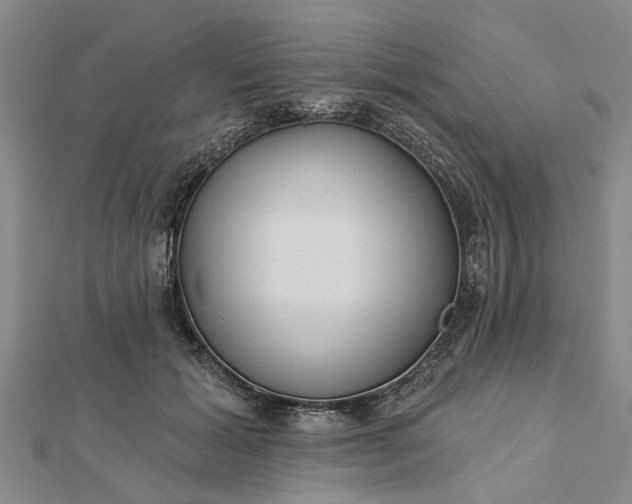 X0000112460605200908311331