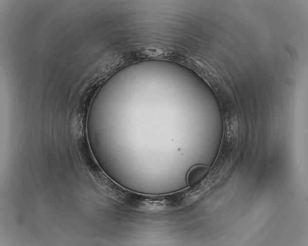 X0000112460606200908311331