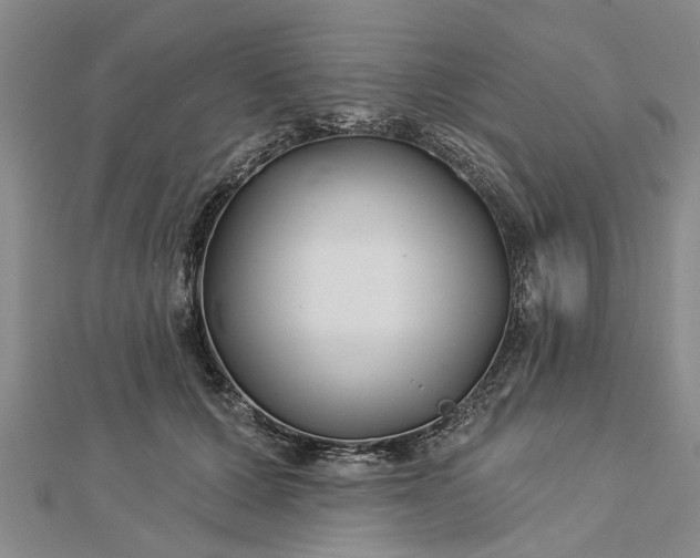 X0000112460607200908311331