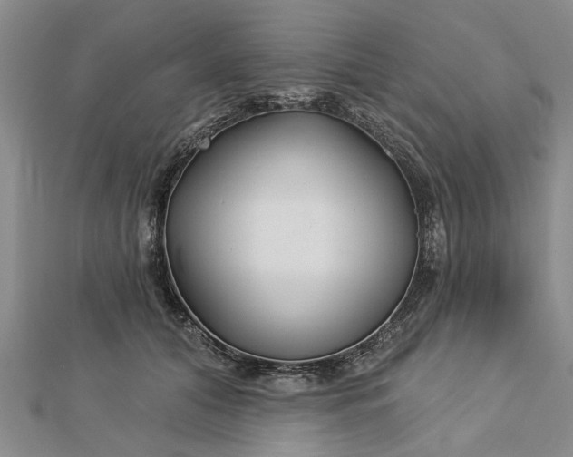 X0000112460608200908311331