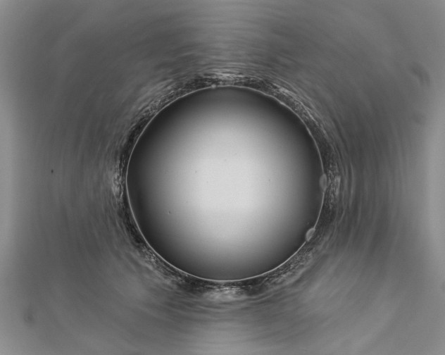 X0000112460609200908311331