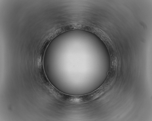 X0000112460610200908311331