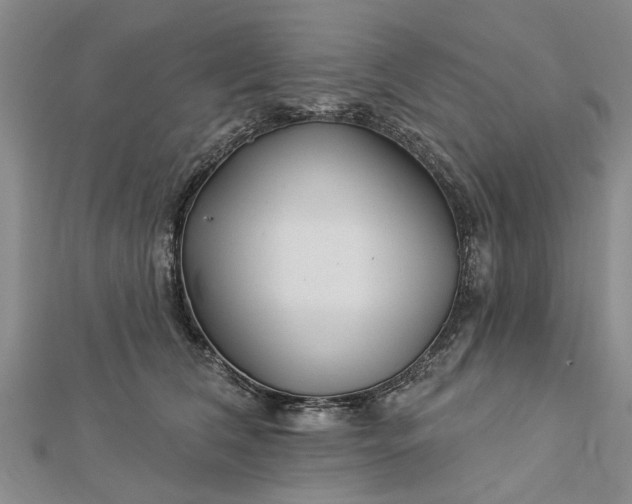 X0000112460612200908311331