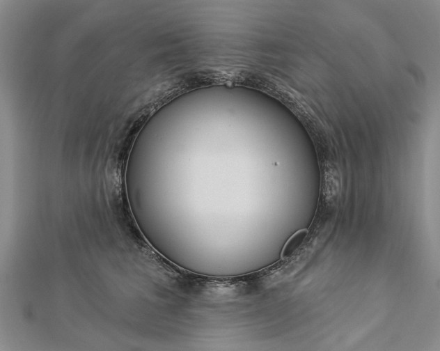 X0000112460613200908311331