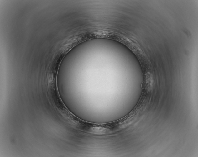 X0000112460614200908311331