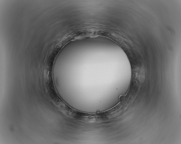 X0000112460615200908311331