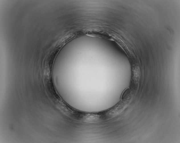 X0000112460617200908311331