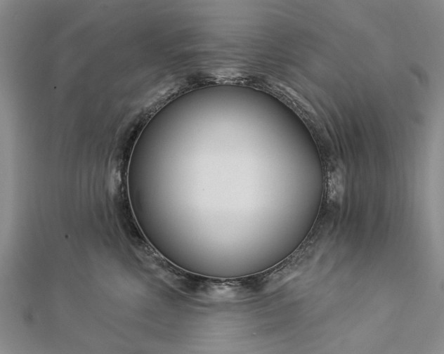 X0000112460618200908311331